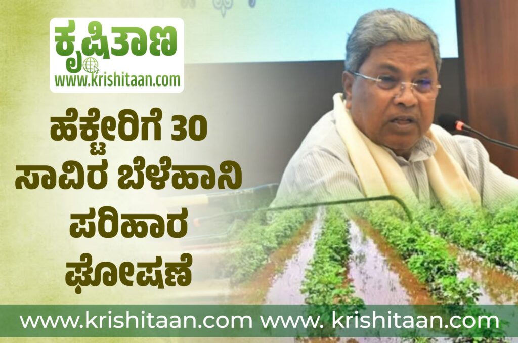 ಹೆಕ್ಟೇರಿಗೆ 30 ಸಾವಿರ ಬೆಳೆಹಾನಿ ಪರಿಹಾರ ಘೋಷಣೆ.