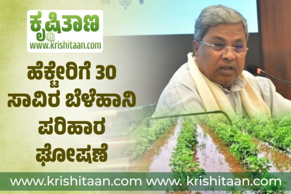 ಹೆಕ್ಟೇರಿಗೆ 30 ಸಾವಿರ ಬೆಳೆಹಾನಿ ಪರಿಹಾರ ಘೋಷಣೆ.