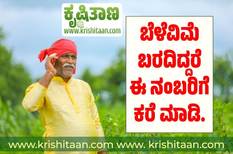 ಬೆಳೆವಿಮೆ ಬರದಿದ್ದರೆ ಈ ನಂಬರಿಗೆ ಕರೆ ಮಾಡಿ.