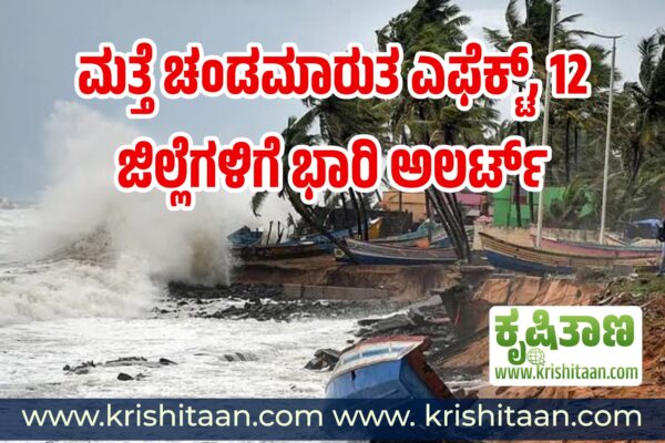 ಮತ್ತೆ ಚಂಡಮಾರುತ ಎಫೆಕ್ಟ್, 12 ಜಿಲ್ಲೆಗಳಿಗೆ ಭಾರಿ ಅಲರ್ಟ್