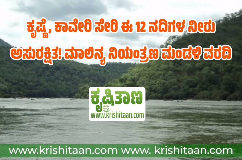ಈ 12 ನದಿಗಳ ನೀರು ಅಸುರಕ್ಷಿತ! ಮಾಲಿನ್ಯ ನಿಯಂತ್ರಣ ಮಂಡಳಿ ವರದಿ
