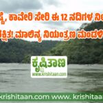 ಈ 12 ನದಿಗಳ ನೀರು ಅಸುರಕ್ಷಿತ! ಮಾಲಿನ್ಯ ನಿಯಂತ್ರಣ ಮಂಡಳಿ ವರದಿ