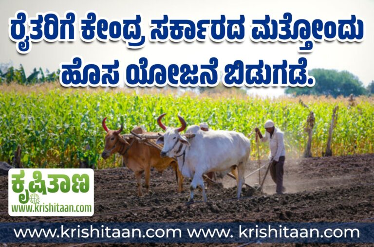 ರೈತರಿಗೆ ಕೇಂದ್ರ ಸರ್ಕಾರದ ಮತ್ತೋಂದು ಹೊಸ ಯೋಜನೆ ಬಿಡುಗಡೆ.