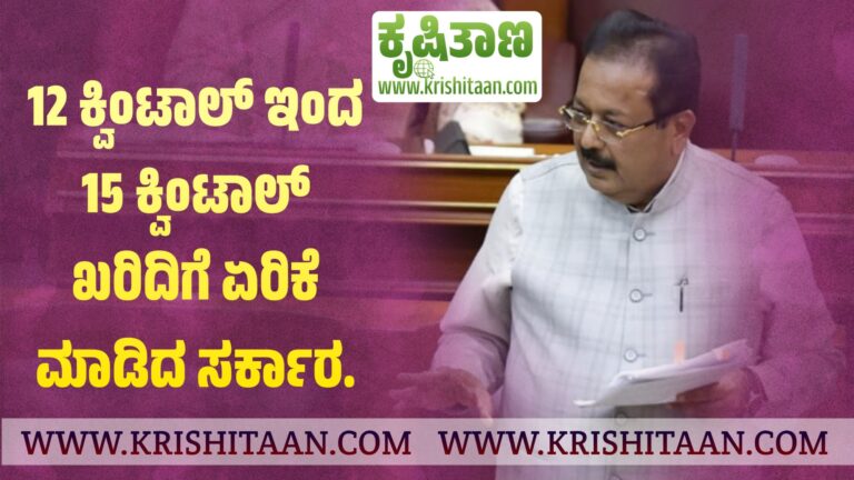 12 ಕ್ವಿಂಟಾಲ್ ಇಂದ 15 ಕ್ವಿಂಟಾಲ್ ಖರಿದಿಗೆ ಏರಿಕೆ ಮಾಡಿದ ಸರ್ಕಾರ.