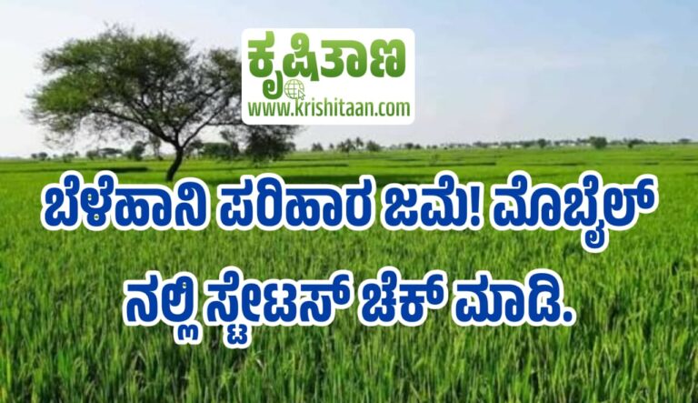 ಬೆಳೆಹಾನಿ ಪರಿಹಾರ ಜಮೆ! ಮೊಬೈಲ್ ನಲ್ಲಿ ಸ್ಟೇಟಸ್ ಚೆಕ್ ಮಾಡಿ.