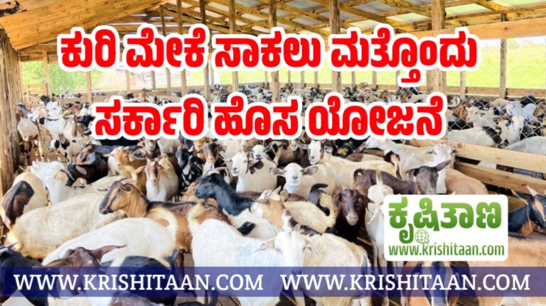 ಕುರಿ ಮೇಕೆ ಸಾಕಲು ಮತ್ತೊಂದು ಸರ್ಕಾರಿ ಹೊಸ ಯೋಜನೆ.