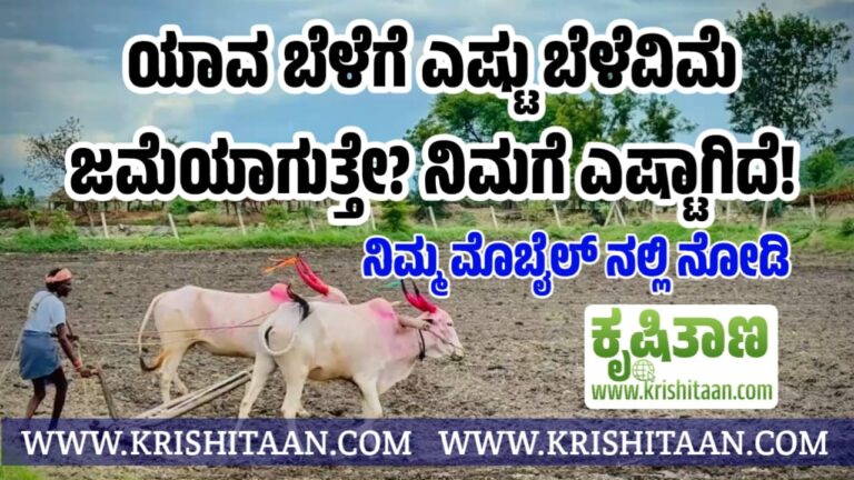 ಯಾವ ಬೆಳೆಗೆ ಎಷ್ಟು ಬೆಳೆವಿಮೆ ಜಮೆಯಾಗುತ್ತೇ? ನಿಮಗೆ ಎಷ್ಟಾಗಿದೆ! ನಿಮ್ಮ ಮೊಬೈಲ್ ನಲ್ಲಿ ನೋಡಿ