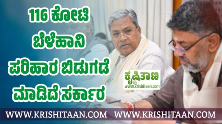 Bele hani : 116 ಕೋಟಿ ಬೆಳೆಹಾನಿ ಪರಿಹಾರ ಬಿಡುಗಡೆ ಮಾಡಿದೆ ಸರ್ಕಾರ