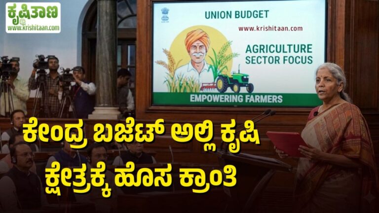 ಕೇಂದ್ರ ಬಜೆಟ್ ಅಲ್ಲಿ ಕೃಷಿ ಕ್ಷೇತ್ರಕ್ಕೆ ಹೊಸ ಕ್ರಾಂತಿ.
